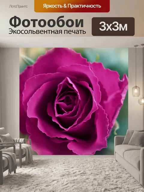 Фотообои Роза цветок цвести боке