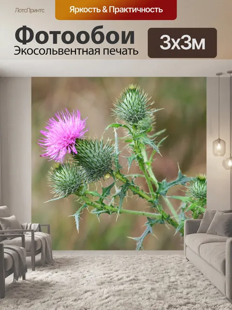Фотообои Природа