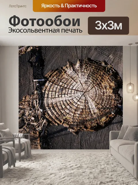 Фотообои Годовых колец дерева