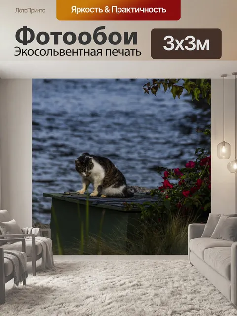 Фотообои Кот