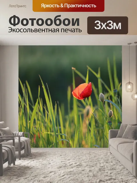 Фотообои Один красный мак