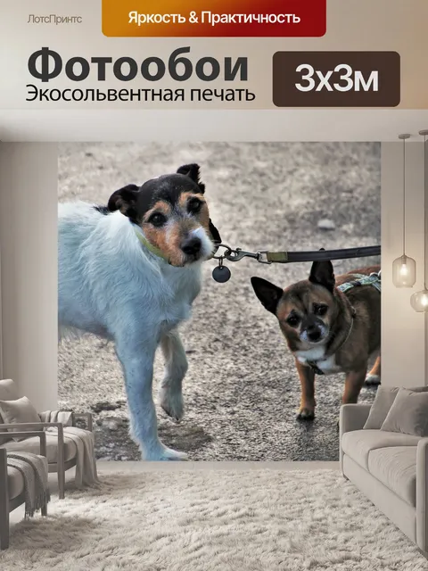 Фотообои Pet
