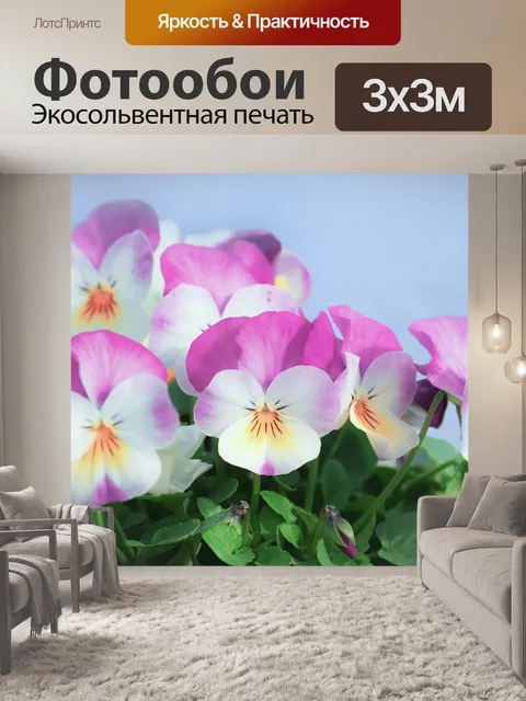 Фотообои Фиалки анютины глазки фиолетовые