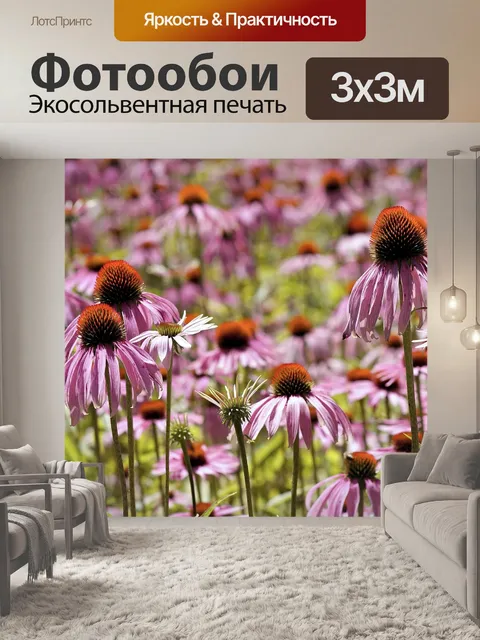 Фотообои Красная шляпа солнца