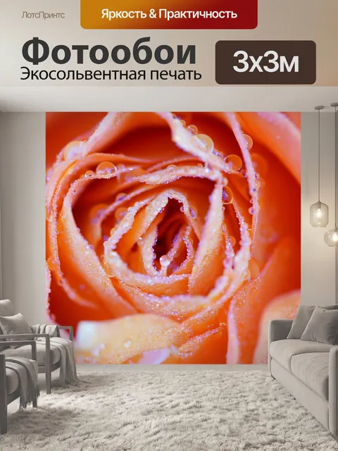 Фотообои Роза