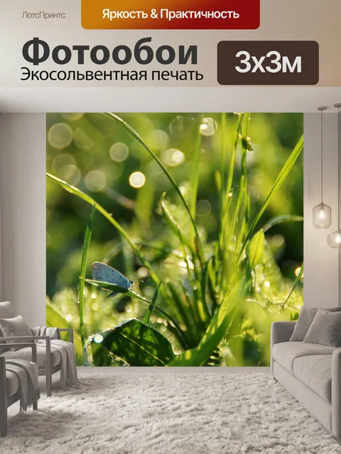 Фотообои Бабочка