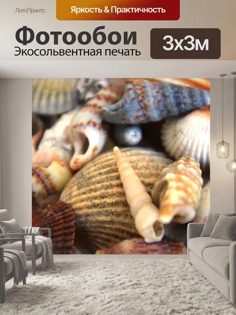 Фотообои Ракушки