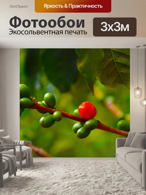 Фотообои Кофейного дерева