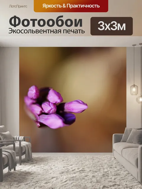 Фотообои сиреневый цветочек почек черемши