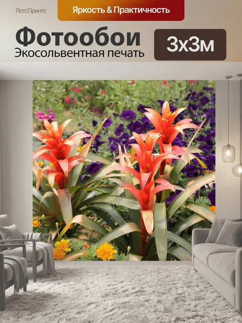 Фотообои Алая звезда
