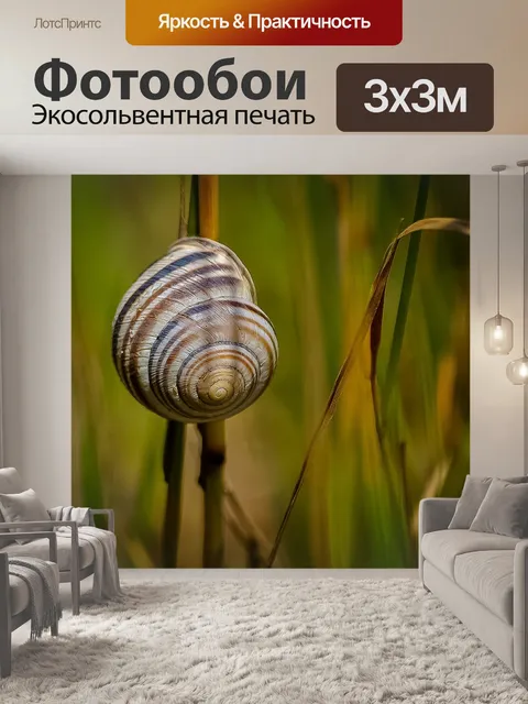 Фотообои Улитка