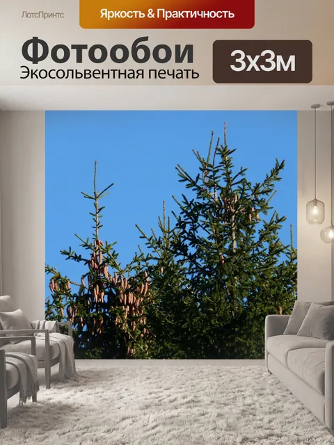 Фотообои Еловые шишки