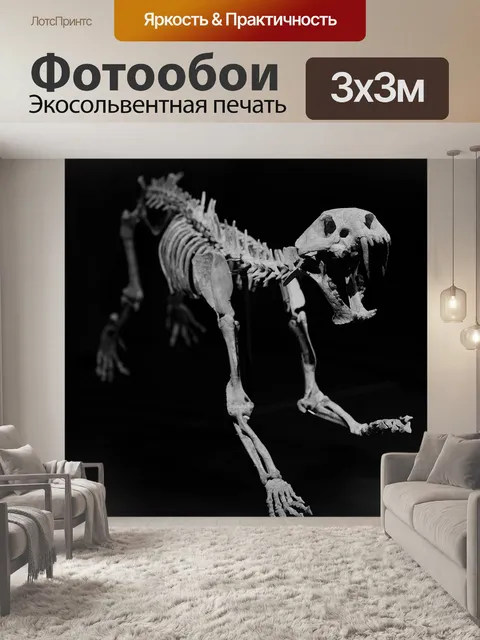Фотообои Скелет