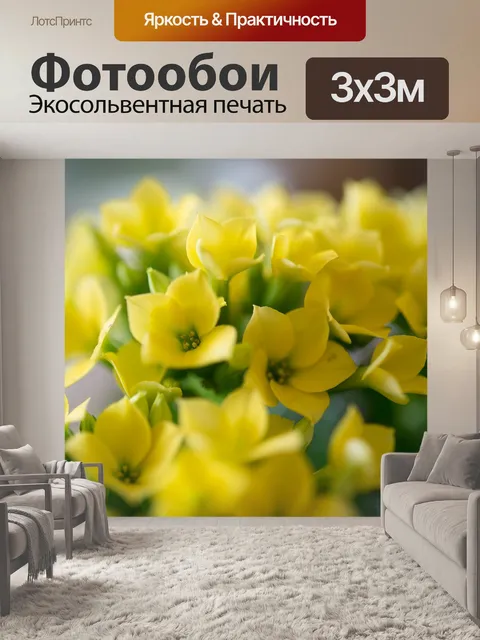 Фотообои Маленький