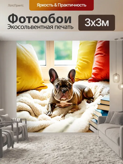 Фотообои нежный французский бульдог, свернувшийся клубком на мягком пледе, с яркими подушками и книгами вокруг