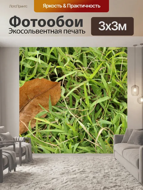 Фотообои одного сухого листа