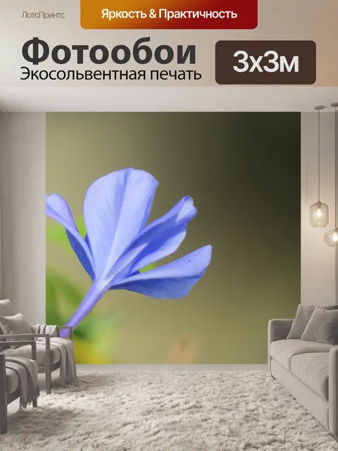 Фотообои Голубой цветок дэн