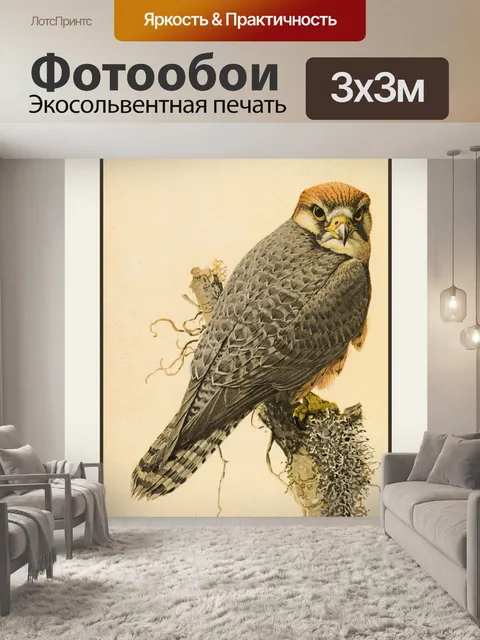 Фотообои сокол