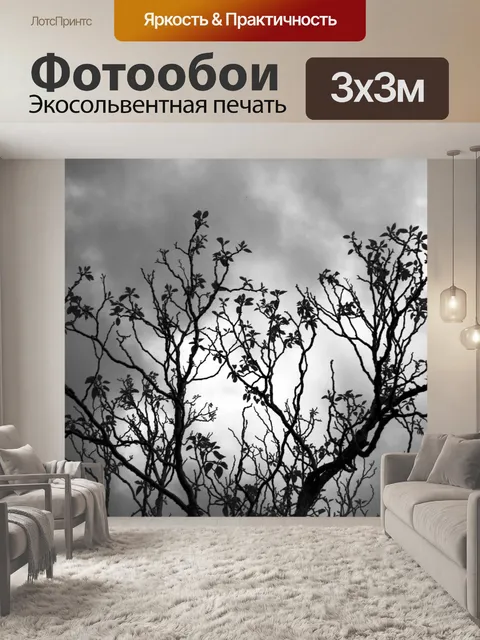 Фотообои дерево с облаками в черном и белом