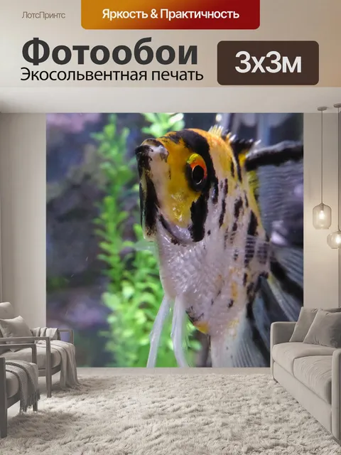 Фотообои рыба-ангел