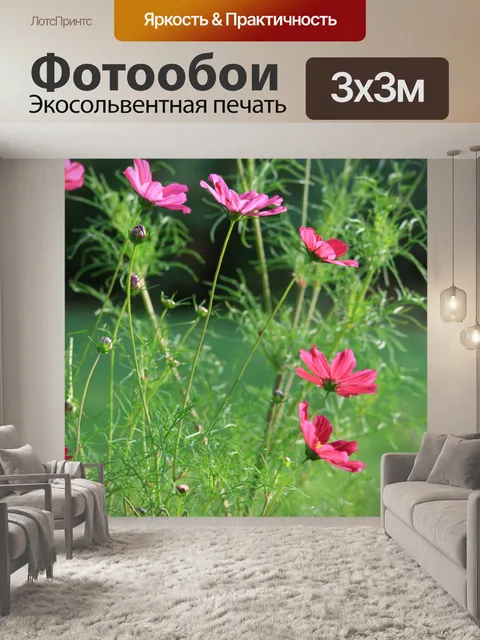 Фотообои Розовый космос цветы в саду