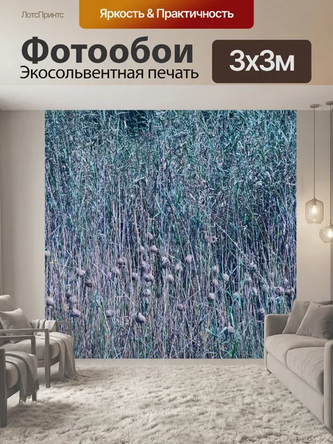 Фотообои много ткацких гнезд на камышах