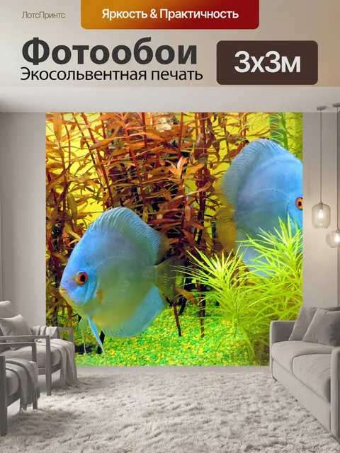 Фотообои Рыбы