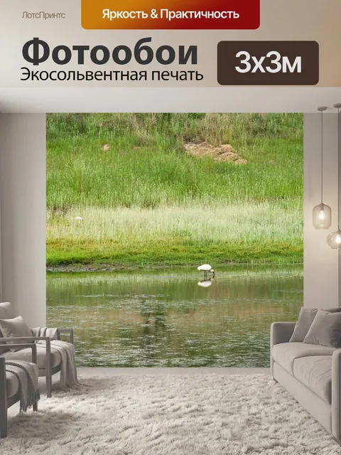 Фотообои белая африканская колпица болотная