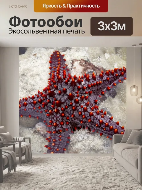 Фотообои морская звезда