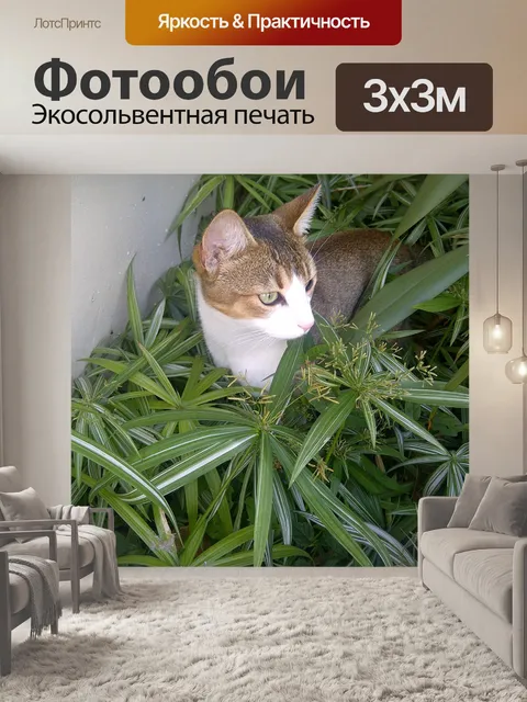 Фотообои Кошка