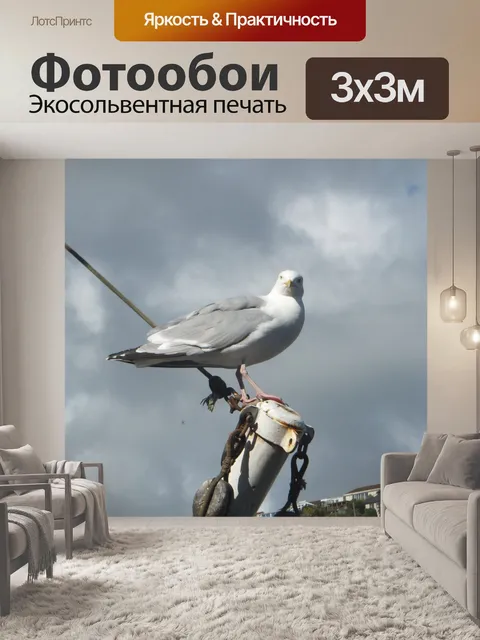 Фотообои Чайка