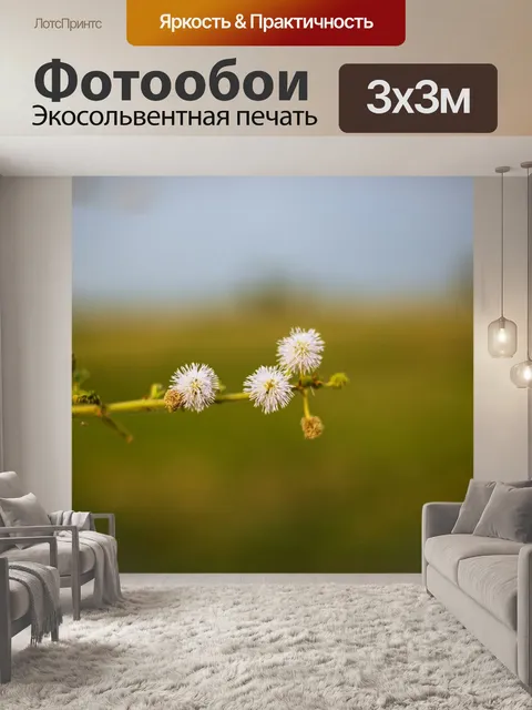 Фотообои Полный hd обои