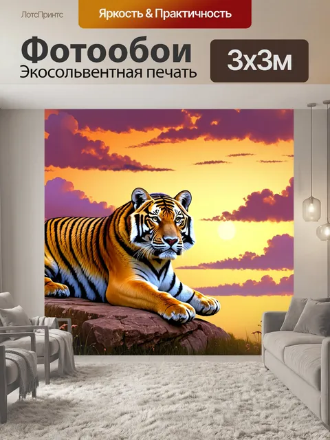 Фотообои на фоне завораживающего заката, амурский тигр лежит на скале, его взгляд устремлен вдаль