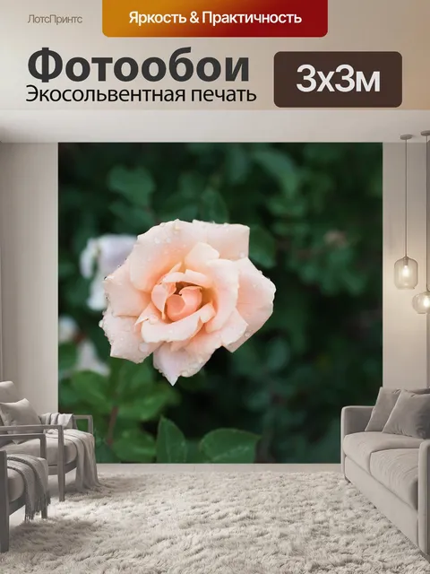 Фотообои Сад