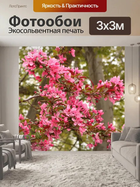 Фотообои Розовое дерево цветет весной
