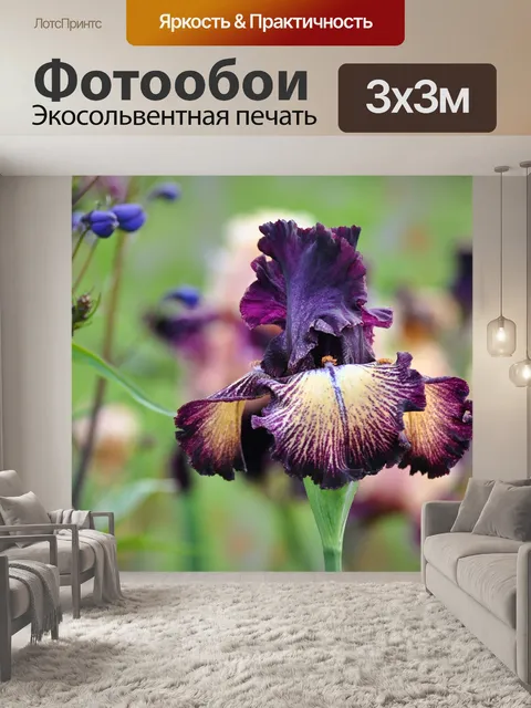 Фотообои Цветок