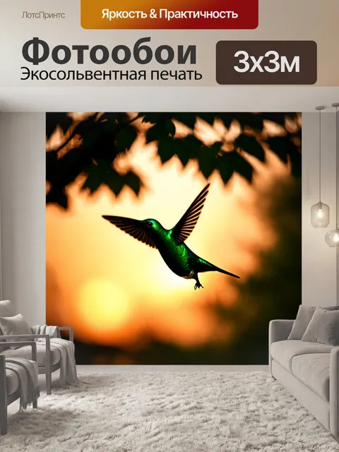 Фотообои силуэт зеленого колибри, парящего в вечернем свете на фоне затихающего леса