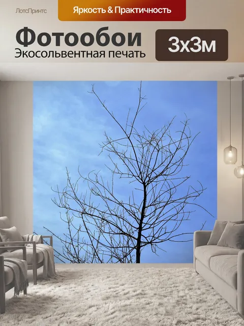 Фотообои Сучки