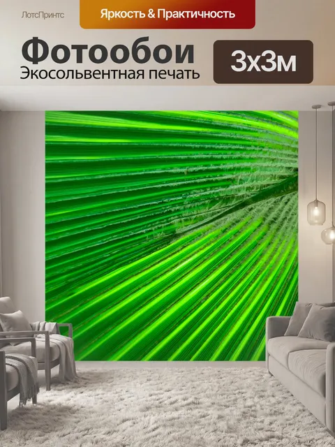 Фотообои Деталь листьев пальмы