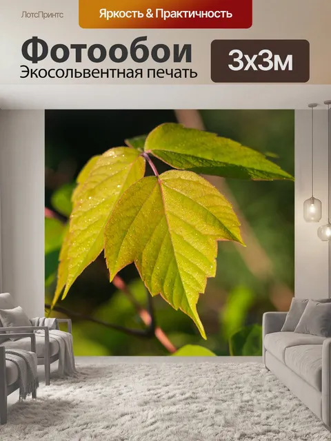 Фотообои Лист