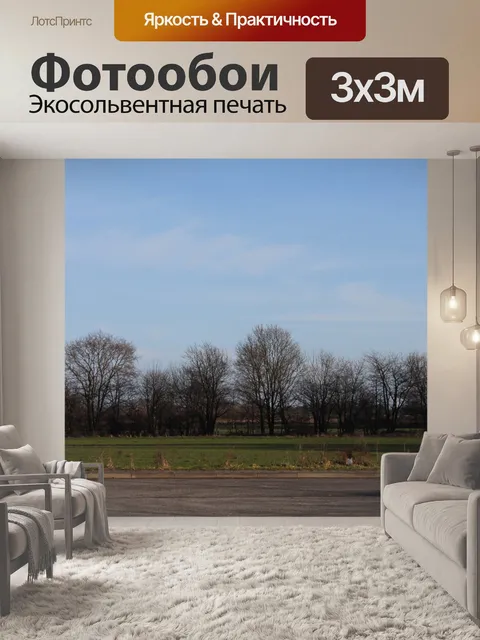 Фотообои Пейзаж лесные деревья