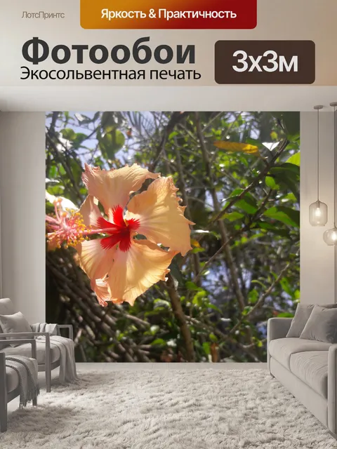 Фотообои Красочный цветок гибискуса