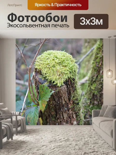 Фотообои Древесина