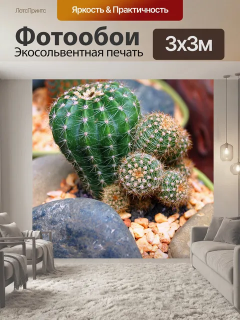 Фотообои Природа