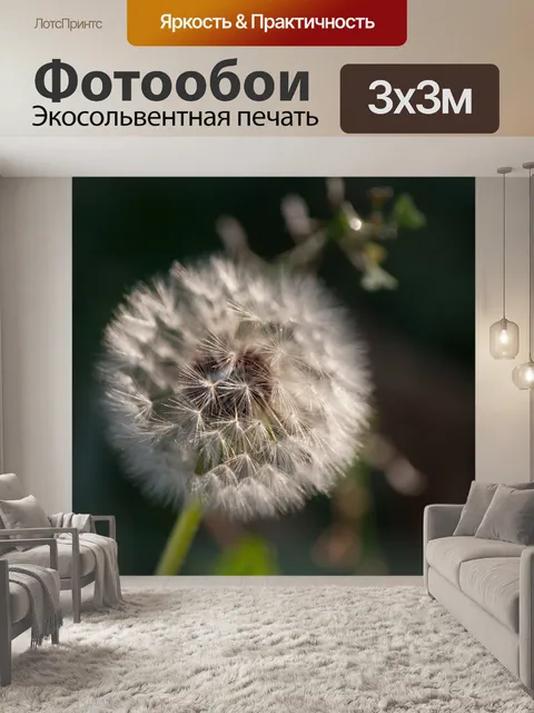 Фотообои нежный белый шлейф одуванчика