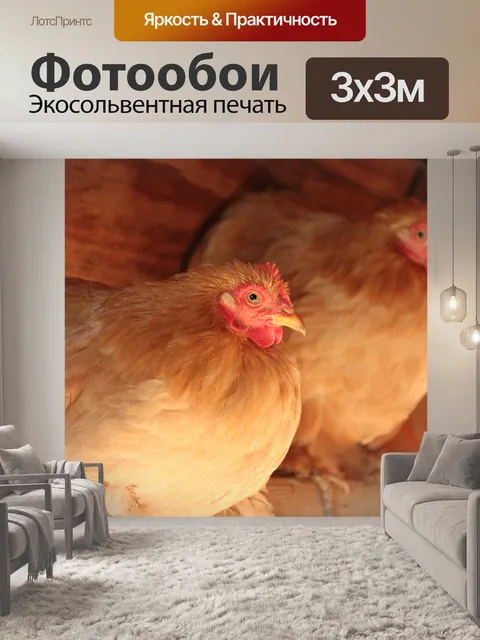 Фотообои Bantam Кочин Куры