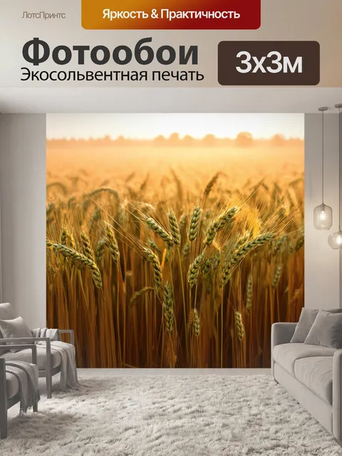 Фотообои утро, поля пшеницы под воздействием утреннего тумана, когда солнце сквозь него пробивается, создавая…