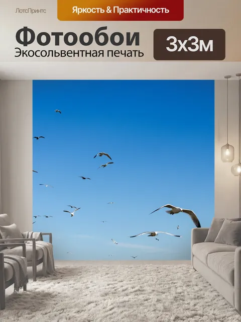 Фотообои Птицы и голубое небо