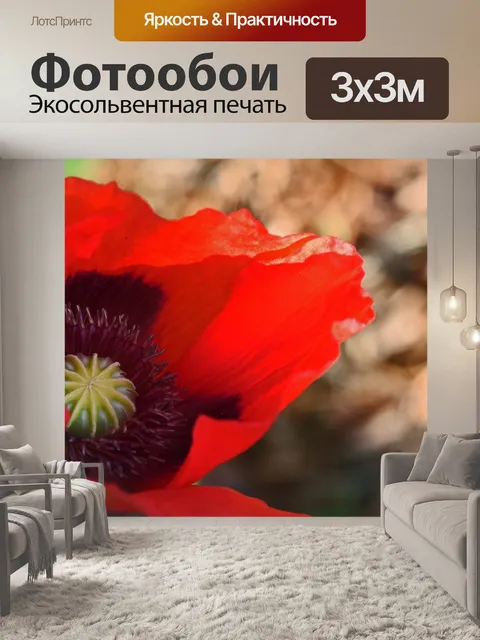 Фотообои Закройте вид изнутри открытого мака