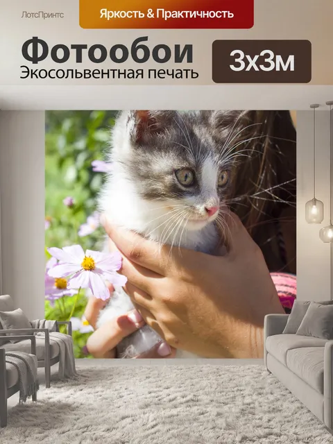 Фотообои Cat